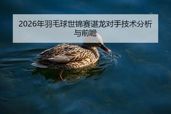 2026年羽毛球世锦赛谌龙对手技术分析与前瞻