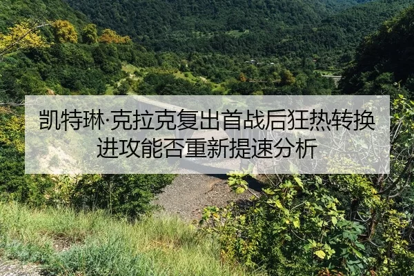 kai-te-lin-ke-la-ke-fu-chu-shou-zhan-hou-kuang-re-zhuan-huan-jin-gong-neng-fou-chong-xin-ti-su-fen-xi-2-302.jpg