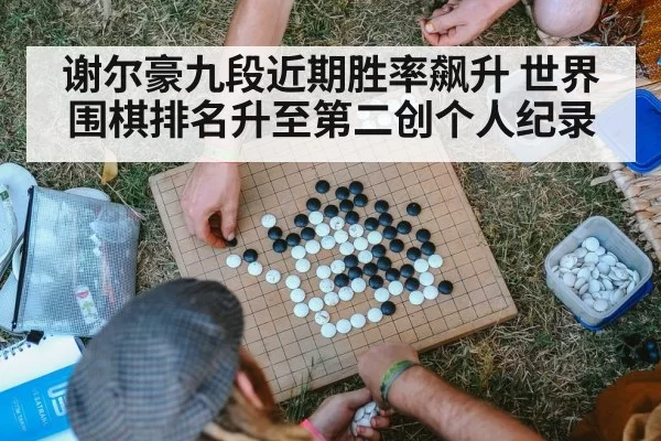谢尔豪九段近期胜率飙升 世界围棋排名升至第二创个人纪录
